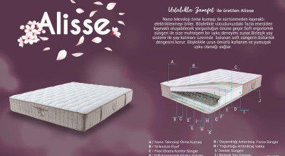 Alisse Tek Kişilik Yatak 100x200 cm