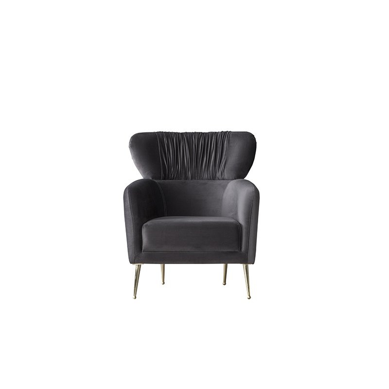 David Koltuk Takımı