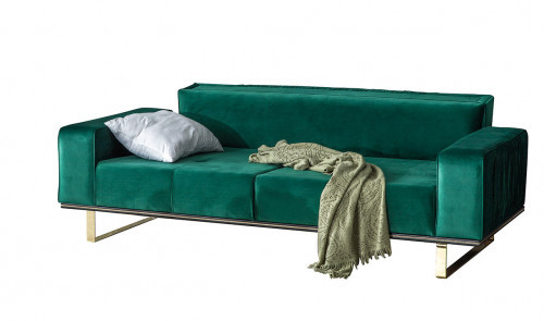 David Koltuk Takımı